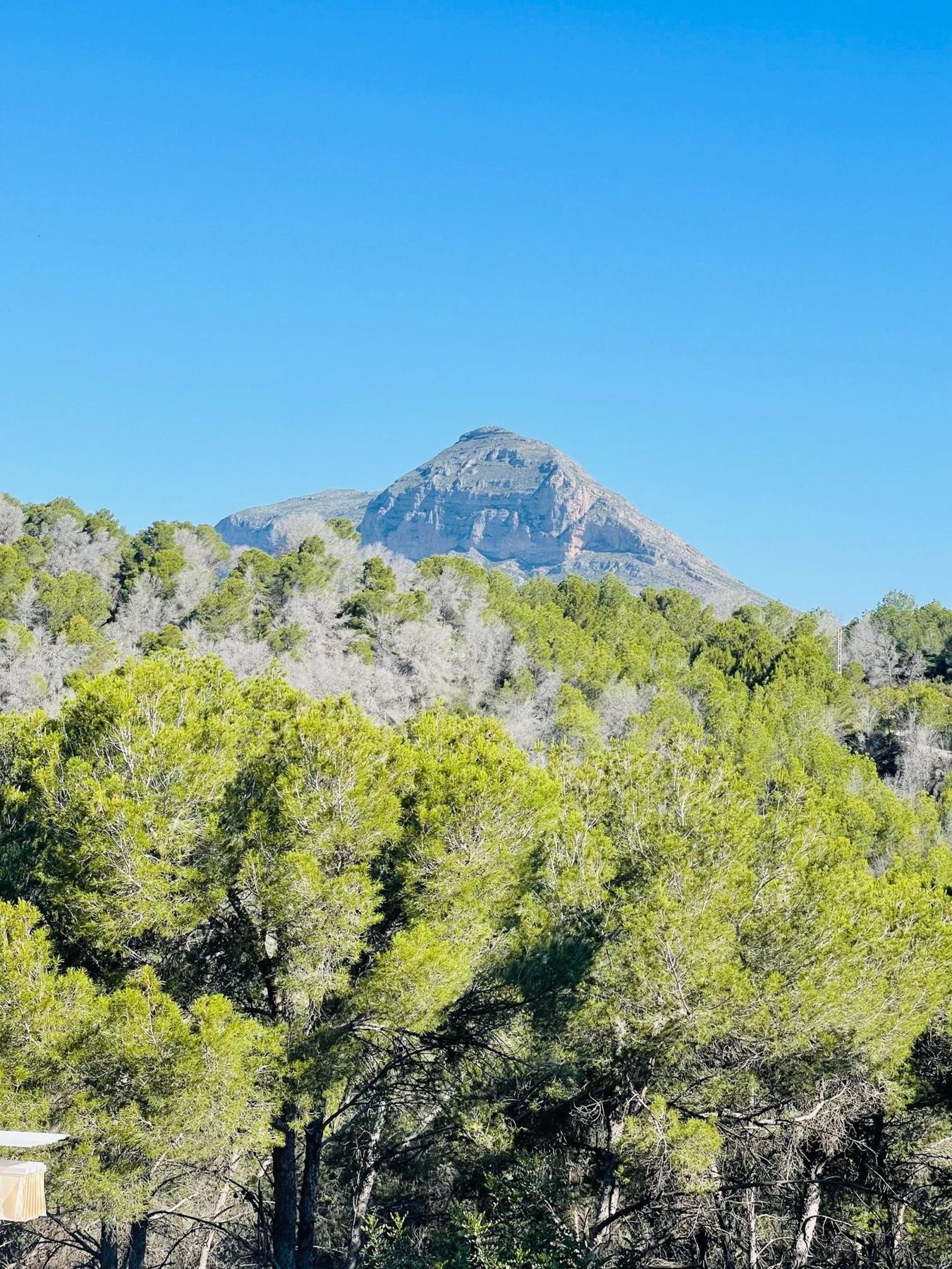 Le Montgó vu de la villa